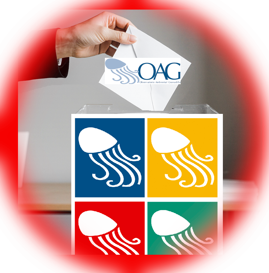 Proceso electoral  a Vocal Ambiental del Patronato