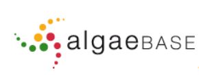 AlgaeBase