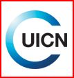 UICN